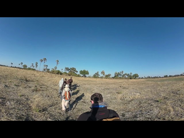 Okavango Walking Safari (360°)