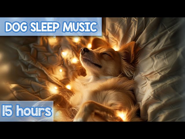 SUPER-RELAXING Cozy Anxiety Relief Music for Dogs! NEW 2024