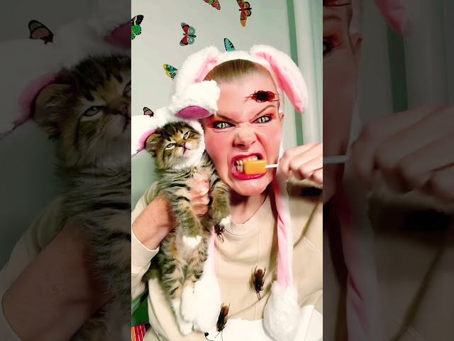 #SweetTooth #Medusa #CynthiaBeaumont #Cringe #Candy #ASMR #Funny #Cat ￼