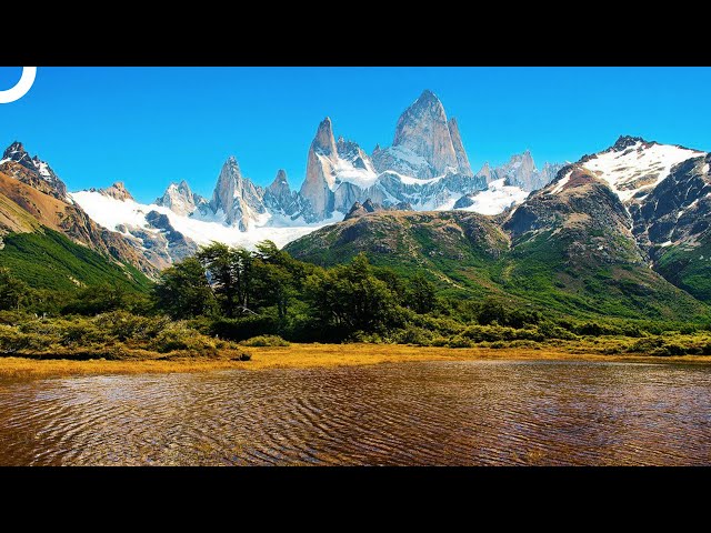 Journey from the Andes to the Atlantic 🏔 | Miracles Of Nature