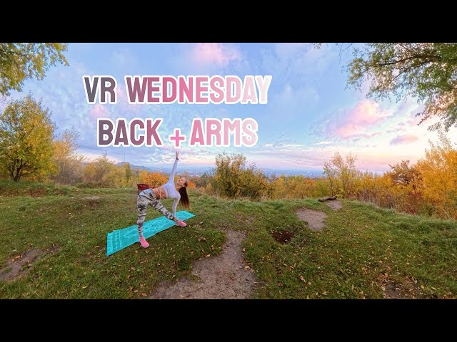 VR WEDNESDAY Back+Arms NOVEMBER |Morning Exercises| Beginner-Friendly, 360 Panoramic |MORNINGPERSON|