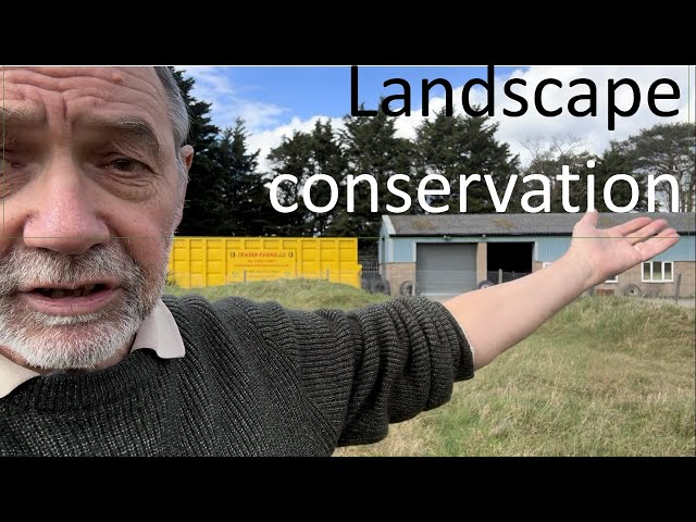 Landscape-scale conservation: area and isolation