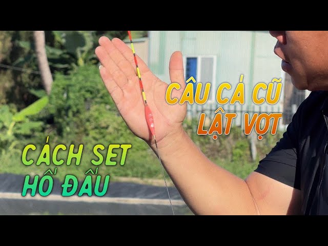 Cách set hố đấu câu cá trắm đen cũ lật vợt | Chung Nguyen Fishing