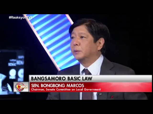 Sen. Bongbong Marcos - TV interview with Luchi Cruz-Valdes on "Reaksyon" (Part 1)