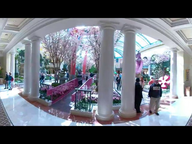 Las Vegas Walking Tour Bellagio Botanic Garden 360 VR