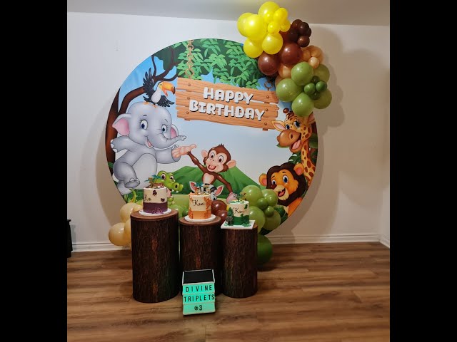 How to make gender neutral Safari Themed Birthday Balloon Arch in just one hour.