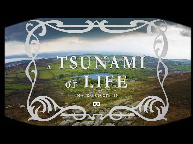 VR 180 A Tsunami of Life 8K 3D SBS