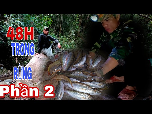 48H TRONG RỪNG MƯA KIẾM ĐỒ ĂN (Phần 2)//Nhip Song Cua Rung_Rhythm-Life-Of-Forest