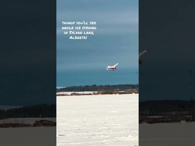 Sylvan Lake is FULL of Wintery Excitement! 🎣🇨🇦 #alberta #sylvanlake #getoutside #canada #fishing