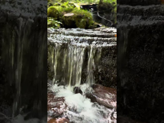 Don’t sleep on West Virginia #waterfall #hiking