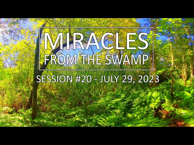 Miracles From The Swamp : Session #20 - July 29, 2023 at 4:43 PM | Virtual Reality / VR180