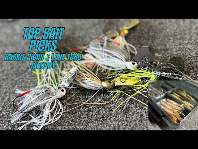 Top Bait Picks | Lake Toho & Harris Chain January Fishing