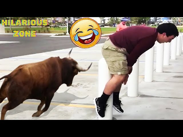 Funny & Hilarious People Life 😆 #109 | TRY NOT TO LAUGH 😂😁😆 | Instant Regret Fails Compilation 2025