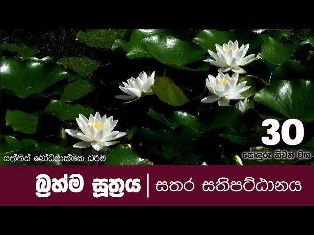 sonduru niwan maga 30 | බ්‍රහ්ම සූත්‍රය | Shraddha TV