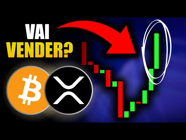 🔥URGENTE: Criptomoedas Para Investir EM FEVEREIRO!