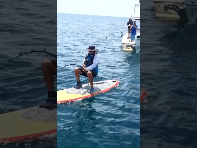 “Would You Be Scared of this Monster Fish on a Surfboard? Could you catch it?”