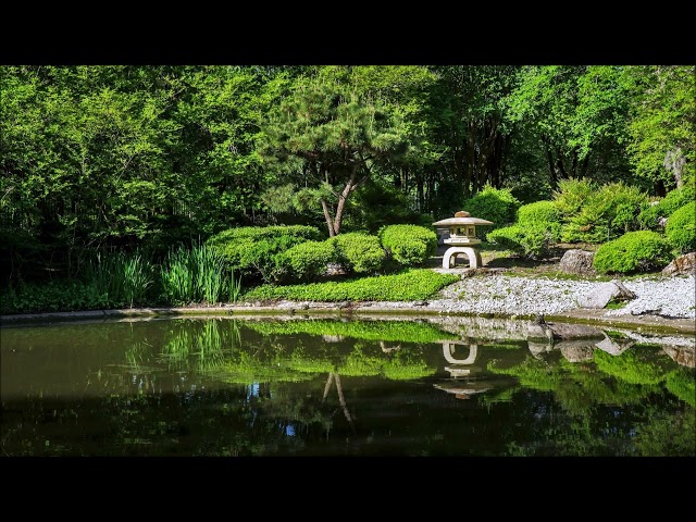 Zen Garden (1 HOUR Ambience)