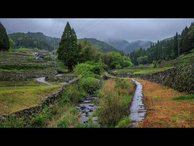 Walking in Rain through Stone Terraced Mountain Village | Japan 4K Rural Ambience - ASMR