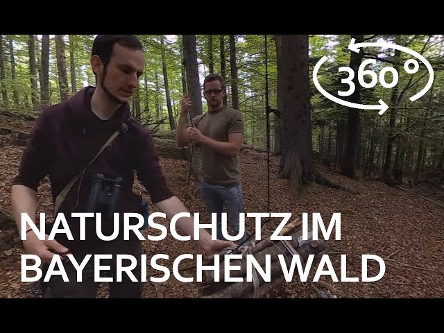 Der Bayerische Wald in 360 Grad