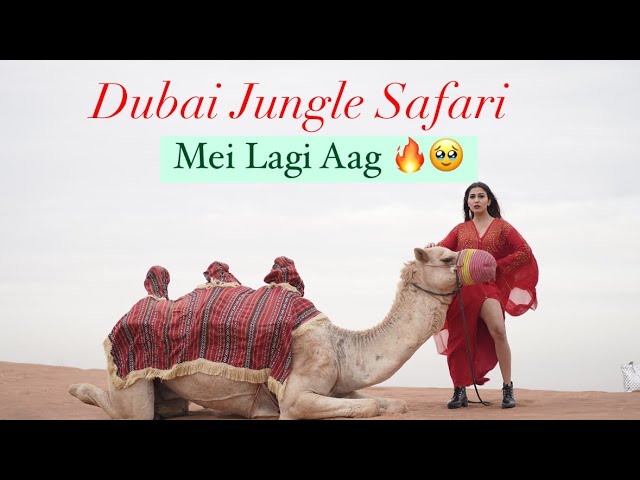 Dubai Jungle Safari 🥹🔥 || Ruma sharma || Dubai