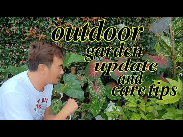 Outdoor garden update and care tips ,#plantito ,#garden , #gardenvisit ,#plantscare ,#gardendecor