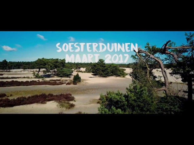 Soesterduinen  - Maart 2017