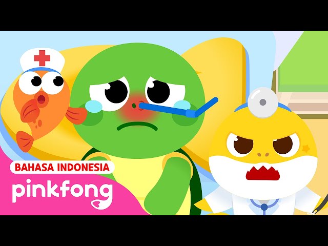 Menolong Binatang Laut | Kartun Anak | Main Rumah Sakit | Baby Shark Indonesia