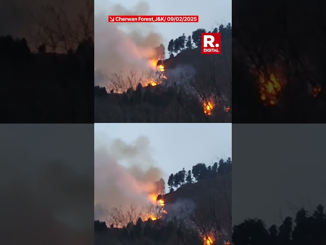 Watch: Massive Fire Breaks Out in Cherwan Forest, Jammu Kashmir; Officials Rush To Contain Blaze