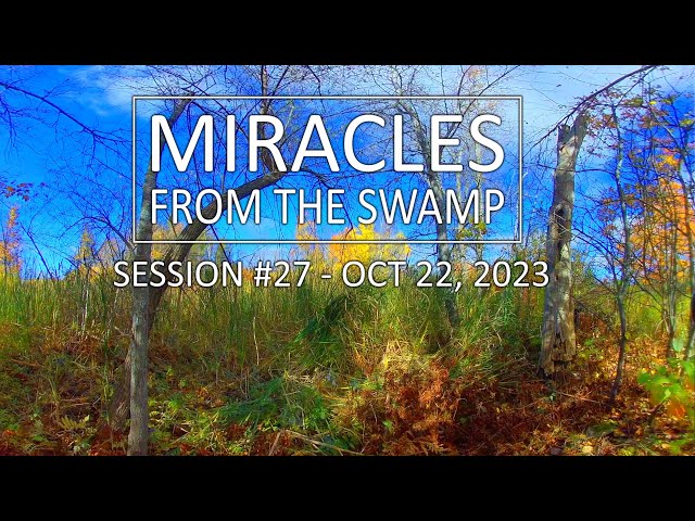 Miracles From The Swamp : Session #27 - October 22, 2023 at 1:12 PM | Virtual Reality / VR180