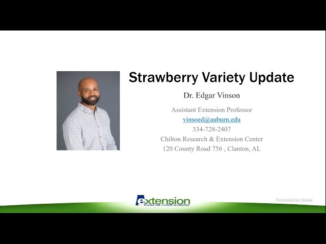 Strawberry Variety Update