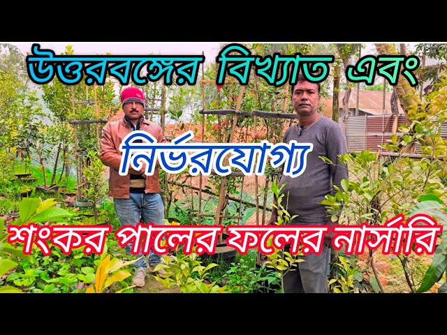 উত্তরবঙ্গের বিখ্যাত এবং নির্ভরযোগ্য শংকর পালের ফলের নার্সারি পরিদর্শন/Nursery Visit #garden #youtube