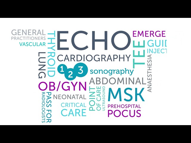 Excel in your ultrasound career with 123sonography 💡 the #1 platform for medical ultrasound