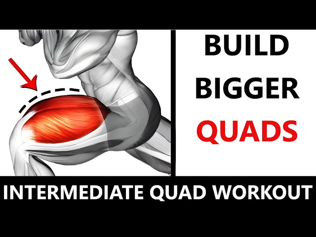 INTERMEDIATE QUAD WORKOUT  MUSCLE BUILDING WORKOUT  QUAD WORKOUT AT GYM