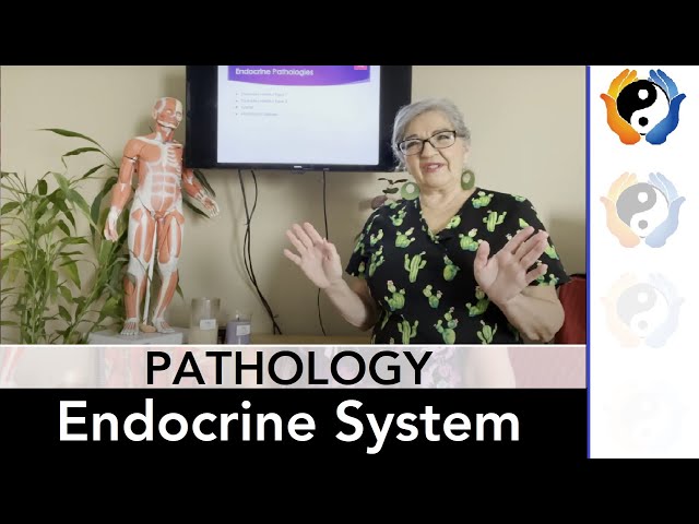 Endocrine System Pathologies