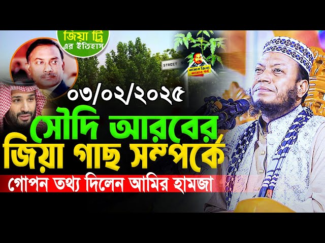 সৌদি আরবে জিয়া গাছ নিয়ে গোপন তথ্য দিলেন আমির হামজা। Amir Hamza Waz 2025