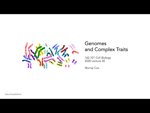 A Genetic World – Genomes and Complex Traits