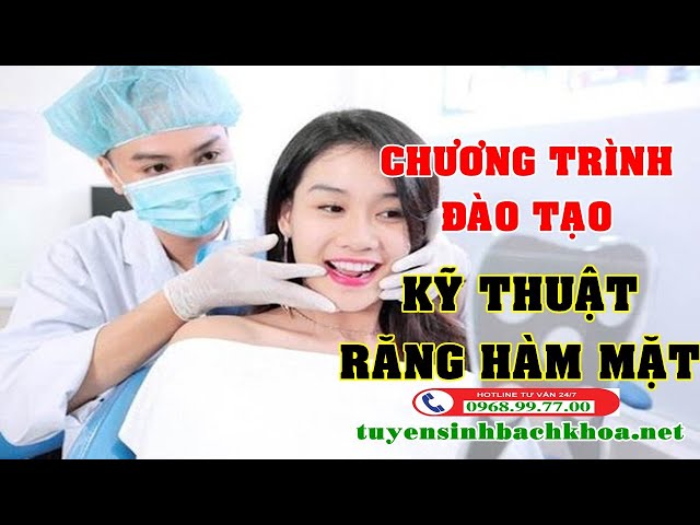 Chương trình đào tạo kỹ thuật răng hàm mặt bao gồm những môn học cơ bản nào?