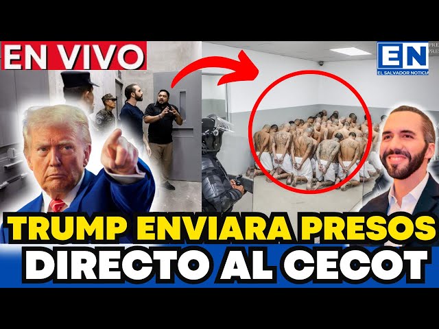 ¡ULTIMA HORA! TRUMP SORPRENDE A BUKELE  ENVIANDO PANDILLEROS DIRECTO AL CECOT NADIE LO ESPERABA