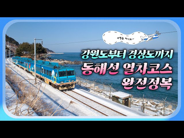 강원도부터 경상도까지~ 동해선 열차코스 완전정복🚉 하루 만에 #동해안 핫한 명소와 맛집 투어 완전 가능! #속초 #강릉 #영덕 #포항 #경주여행