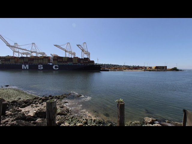 Seattle Waterfront Clip Series 3D VR 8k 180°  Ferries Pike Place Oculus Metaverse Virtual Realty