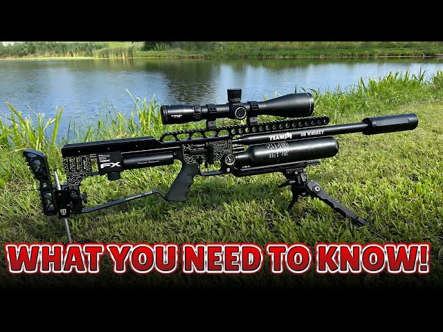 Top Devastating Air Rifles of 2024 – Watch Before Buying!