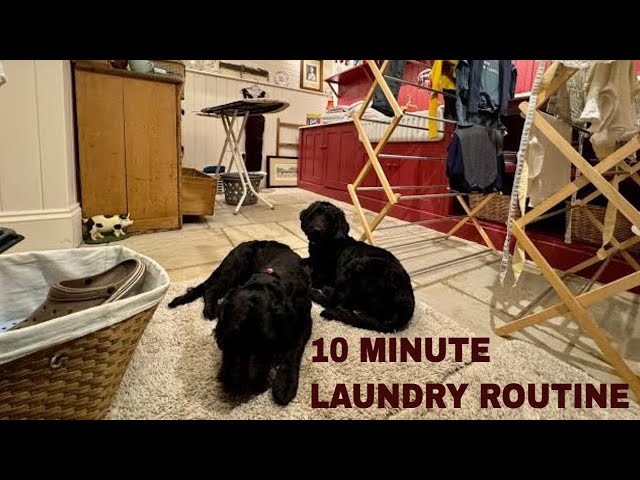 10 Minute Laundry Routine-Clean With Kate #laundryroutine #laundrymotivation #laundry #laundryroom