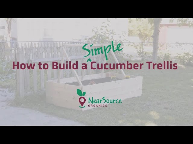 NearSource Organics | How to Build a Simple Cucumber Trellis