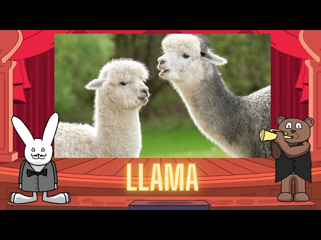 Classical Baby: Llamas by Oxbridge Baby