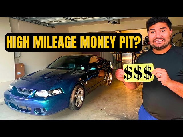 What I Discovered After My Car Inspection! 2004 Mustang Cobra Terminator Mystichrome