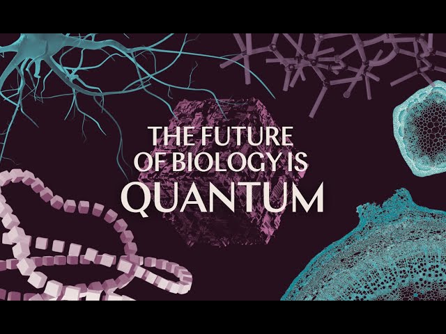 The Future of Quantum Biology: How We're Building a New Scientific Frontier