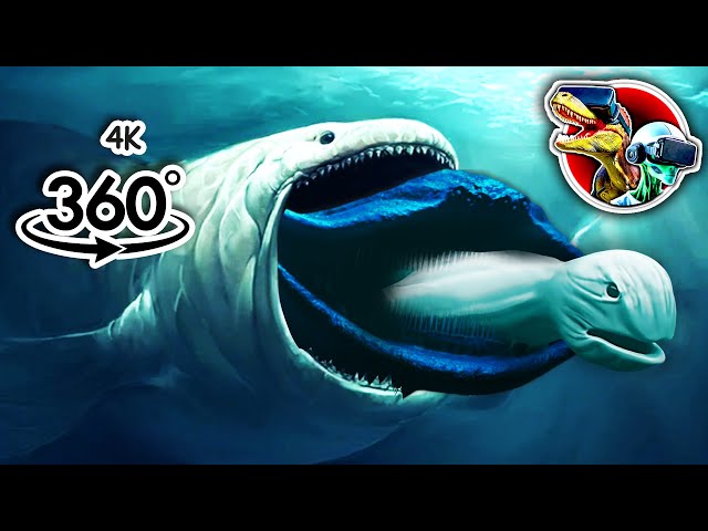 360 Bloop Eat Bloop, El Gran Maja and Ninge Sea Monsters | 360 video 4K