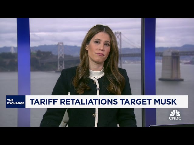 Elon Musk companies targeted in tariff retaliation