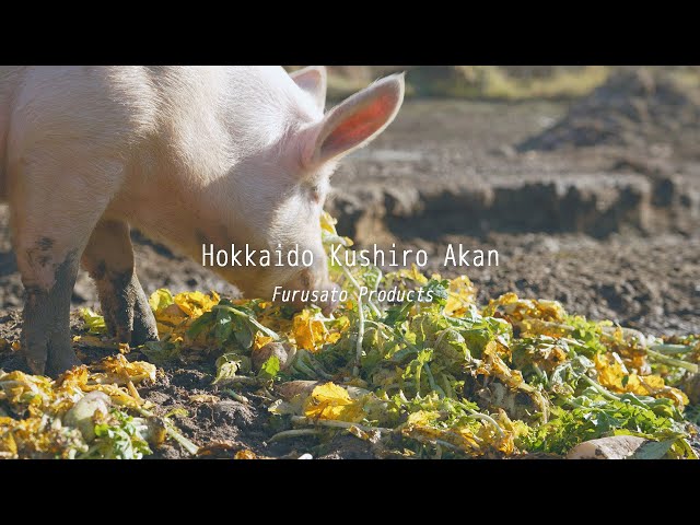 【阿寒の食と自然】釧路市阿寒町特産PR