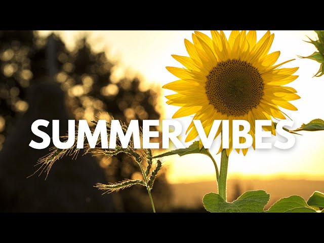 ☀️ Summer Love Chillin ORGANIC HOUSE mix Session 2024